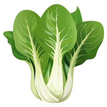 Bok Choy