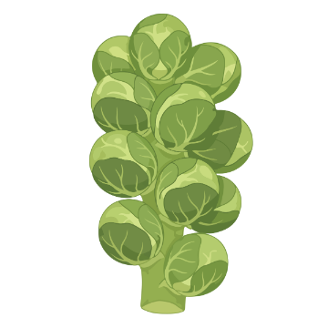 Brussels Sprouts