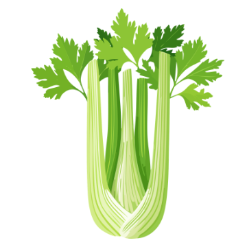Celery