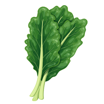 Collard Greens