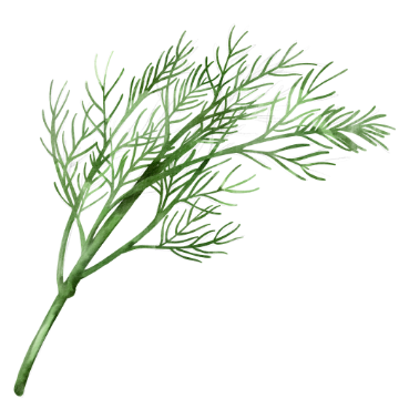 Dill