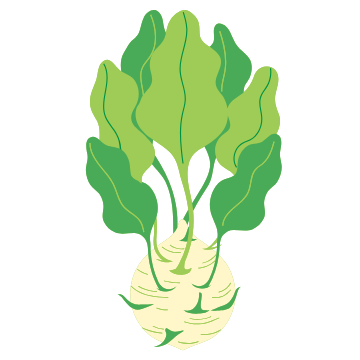 Kohlrabi