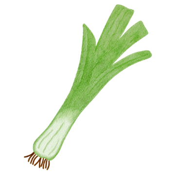 Leek