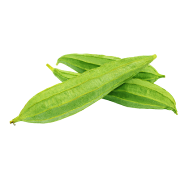 Ridge Gourd
