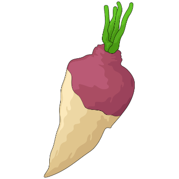 Rutabaga